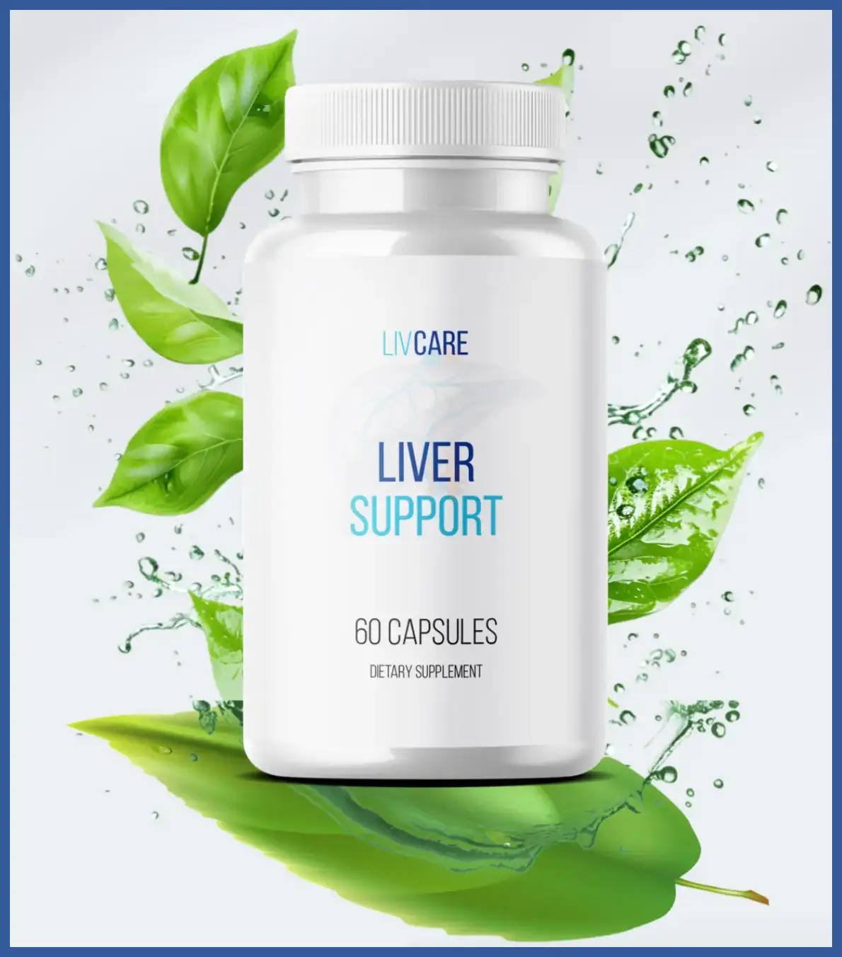 LivCare Supplement LivCare Supplement